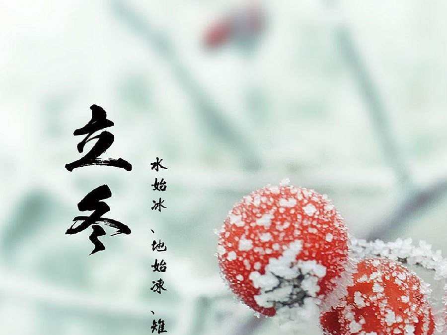 今日立冬，啟睿喊你吃餃子嘍